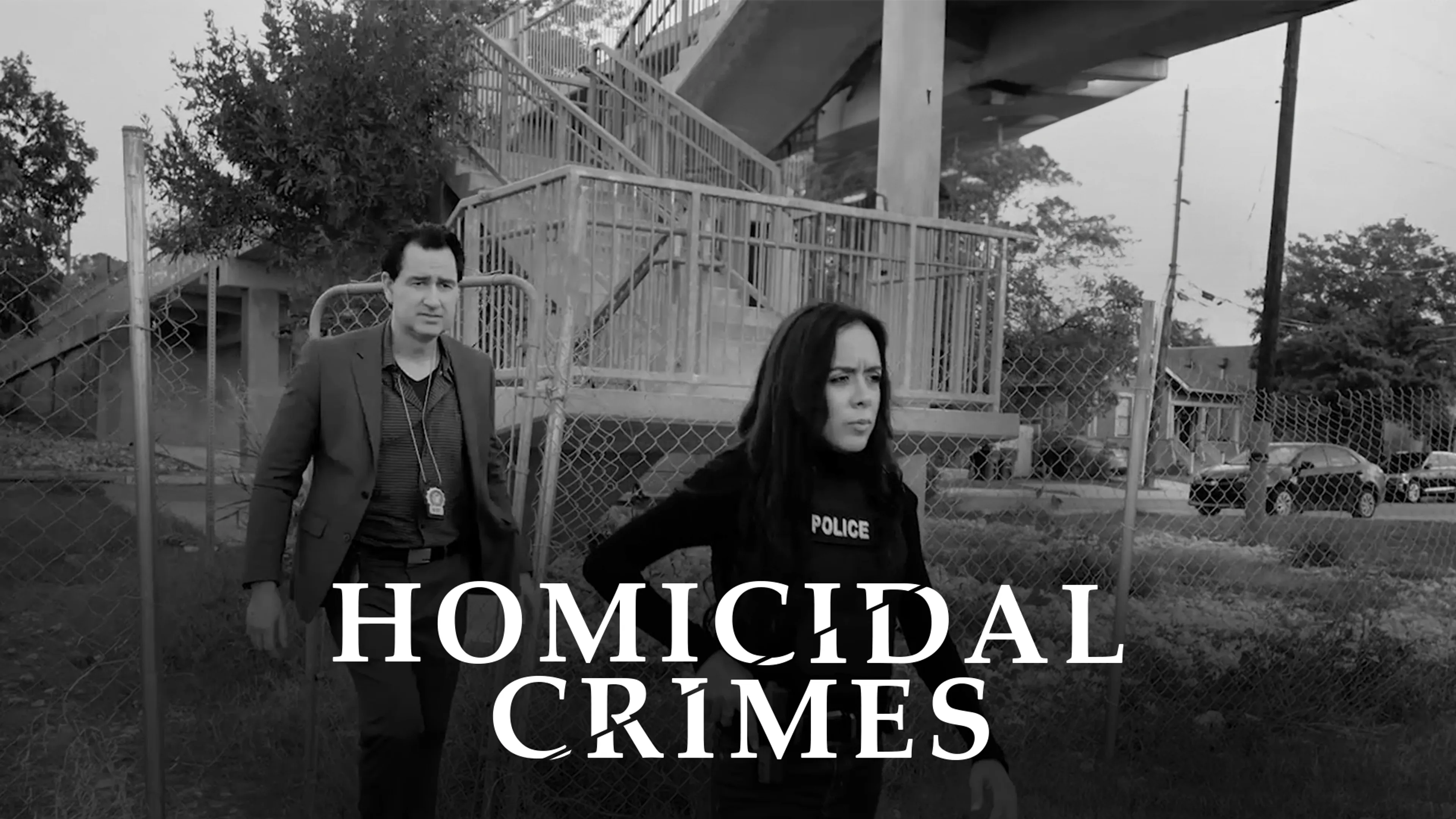 Homicidal Crimes poster
